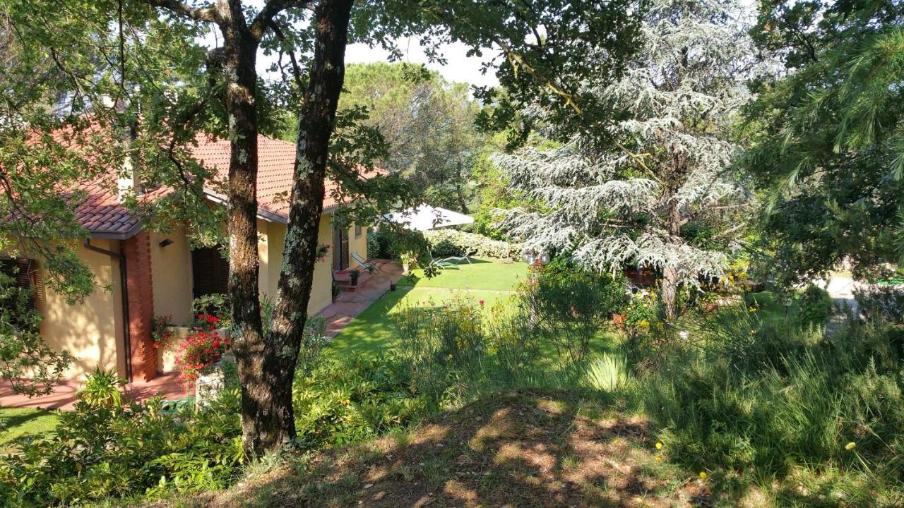 Villaspino Capolona Zewnętrze zdjęcie