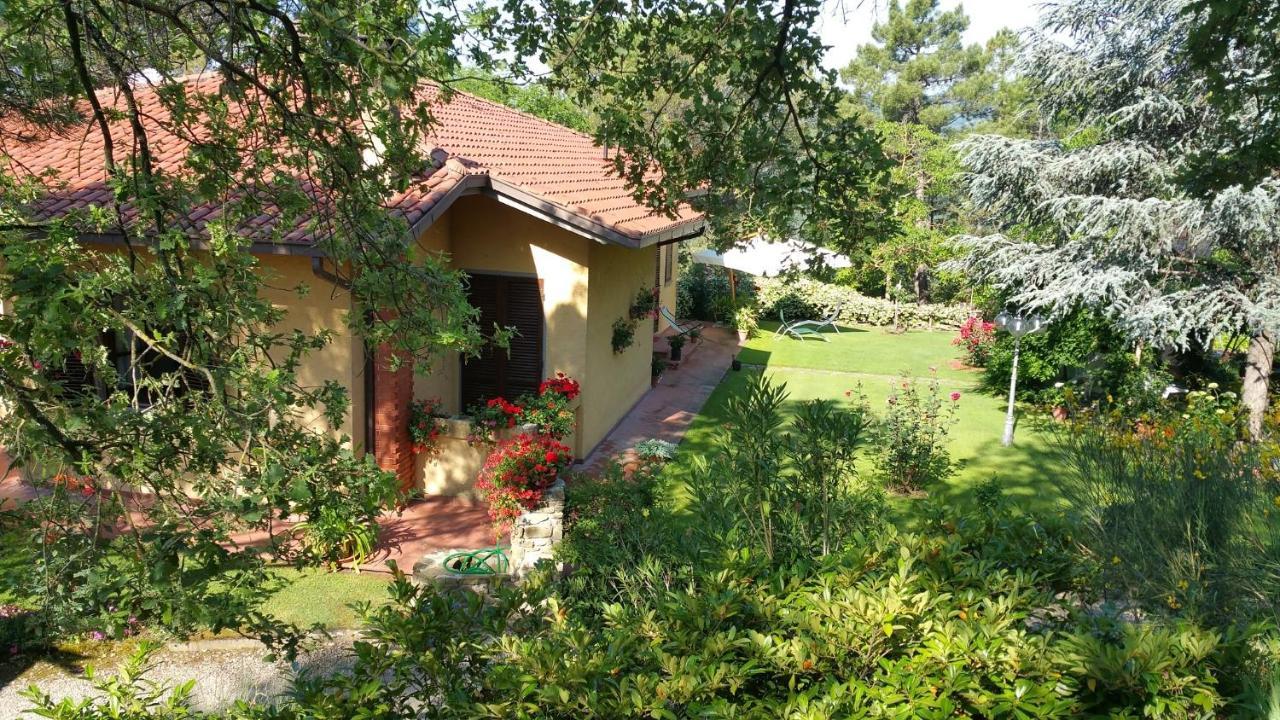 Villaspino Capolona Zewnętrze zdjęcie