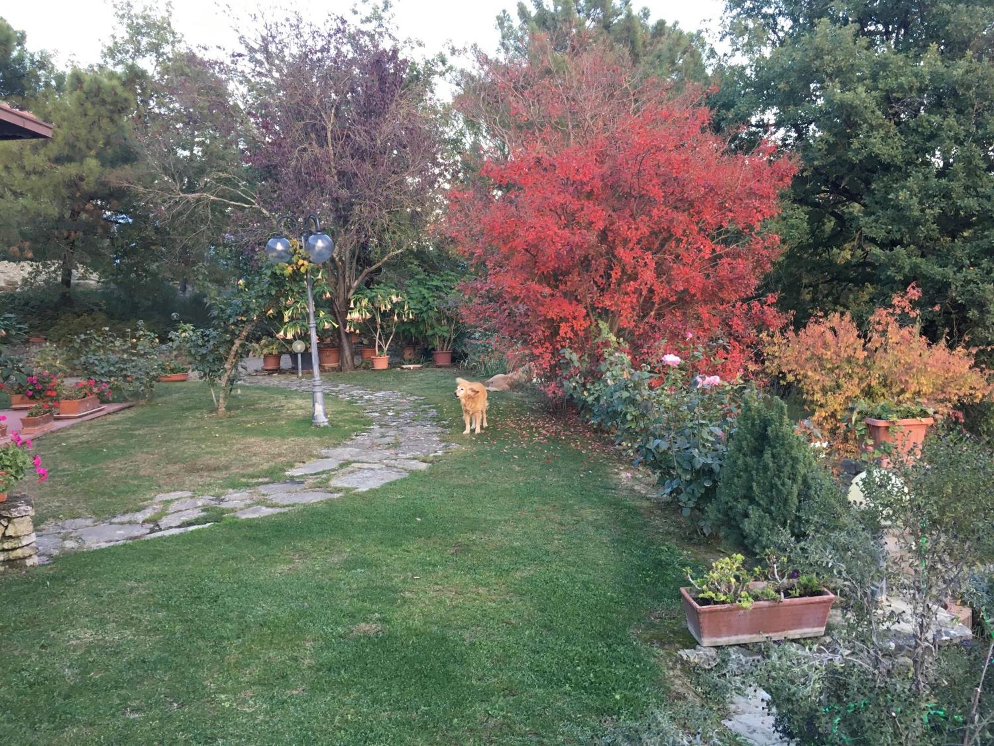 Villaspino Capolona Zewnętrze zdjęcie
