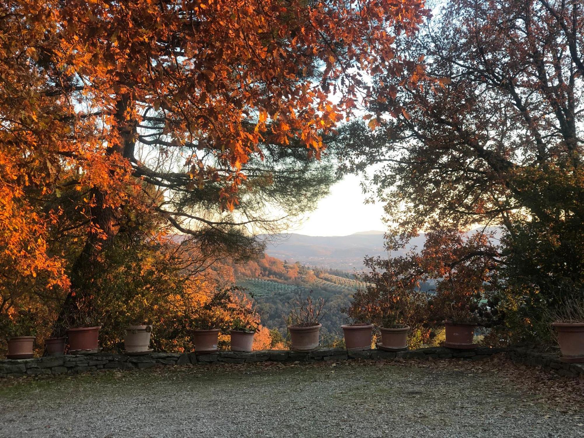 Villaspino Capolona Zewnętrze zdjęcie
